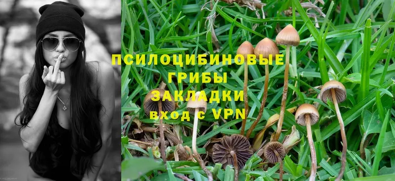 Галлюциногенные грибы Cubensis  Уяр 